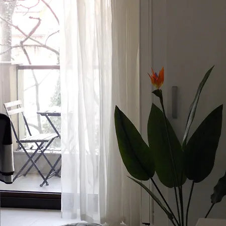 Cismigiu Bauhaus
