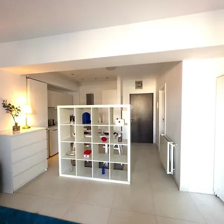 Cismigiu Bauhaus Апартаменты